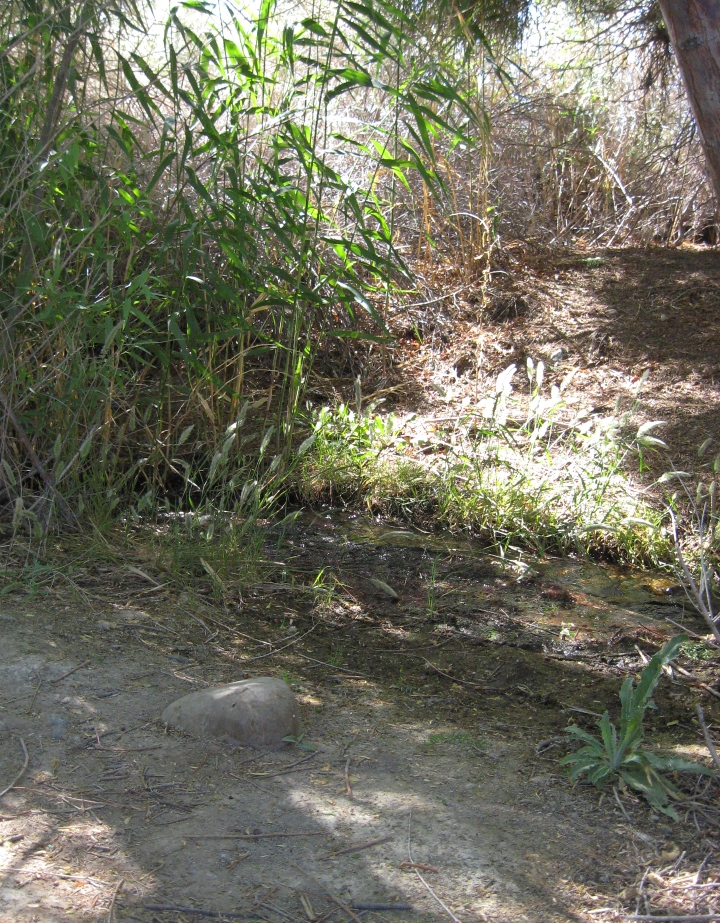 Corn Creek